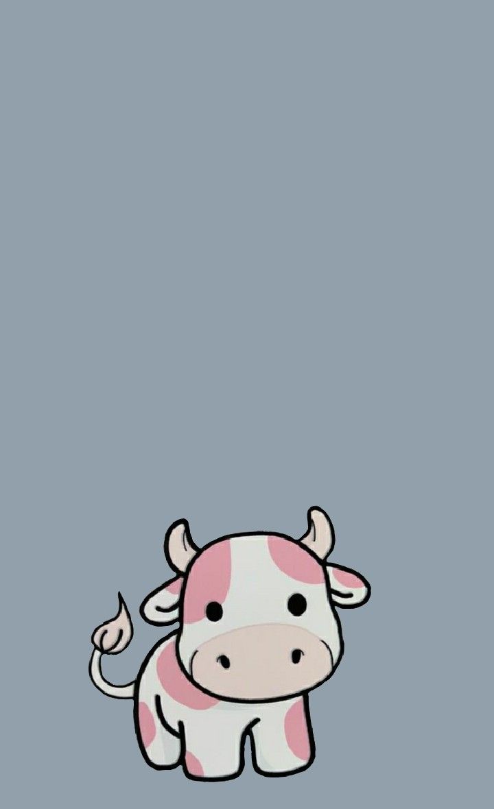 Cute Cow Iphone Wallpapers