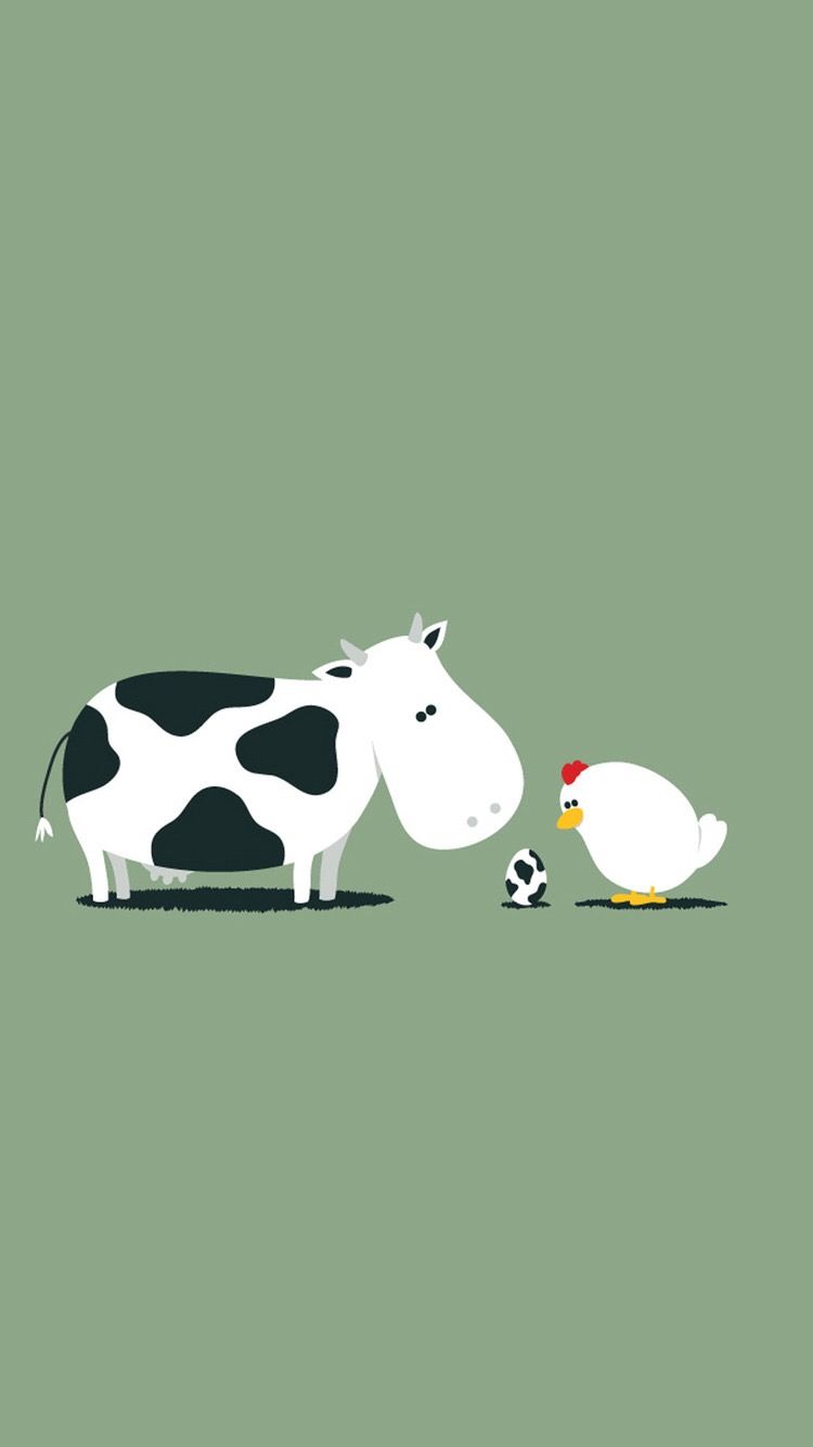 Cute Cow Iphone Wallpapers