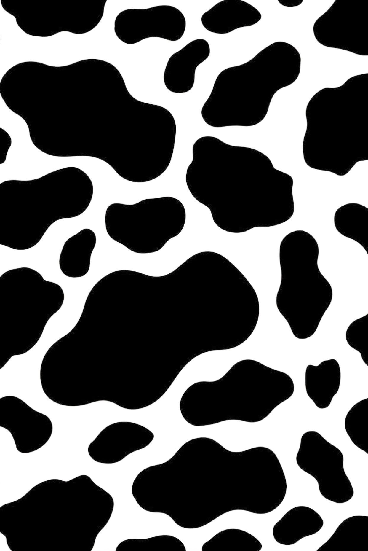 Cute Cow Iphone Wallpapers