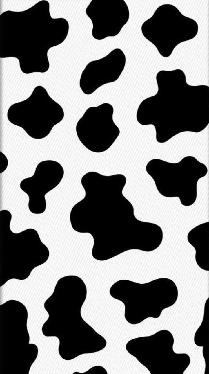 Cute Cow Iphone Wallpapers