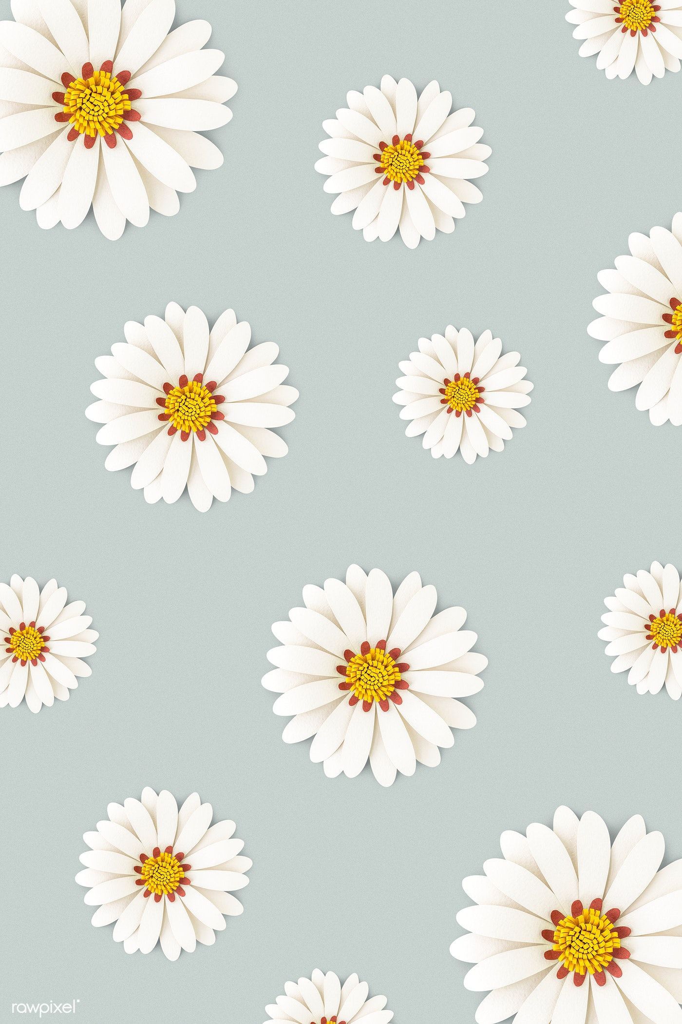 Cute Daisy Wallpapers Wallpapers