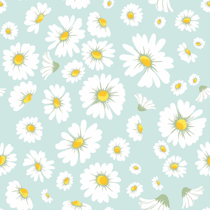 Cute Daisy Wallpapers Wallpapers