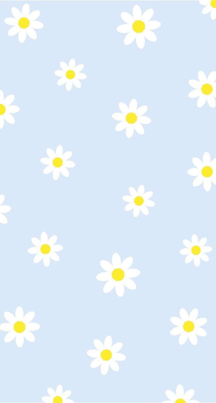 Cute Daisy Wallpapers Wallpapers