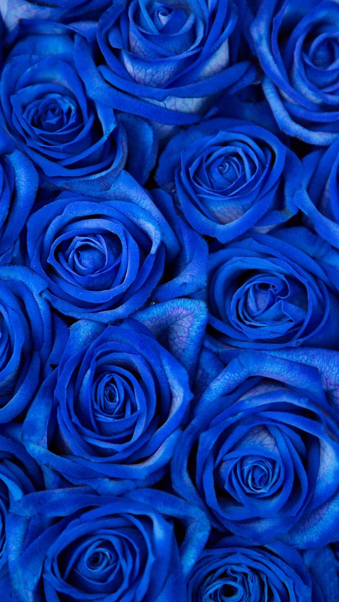 Cute Dark Blue Wallpapers