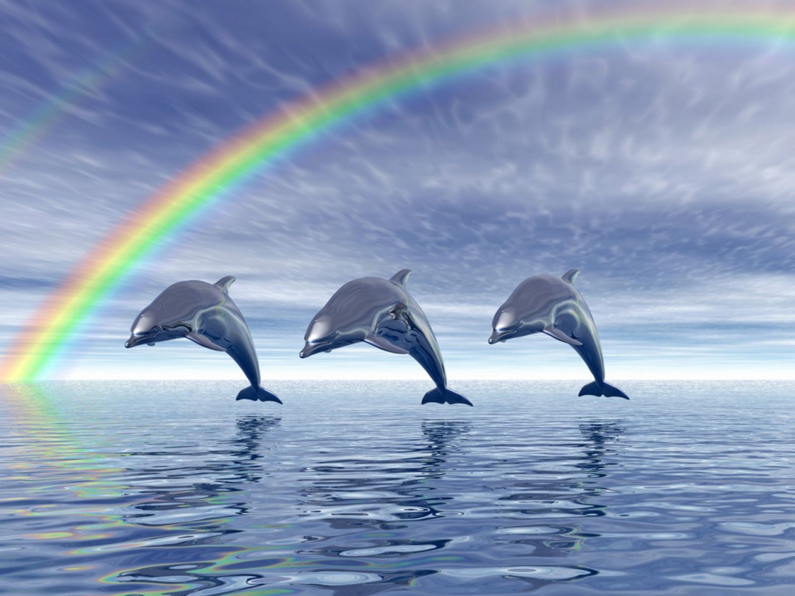 Cute Dolphin Wallpapers