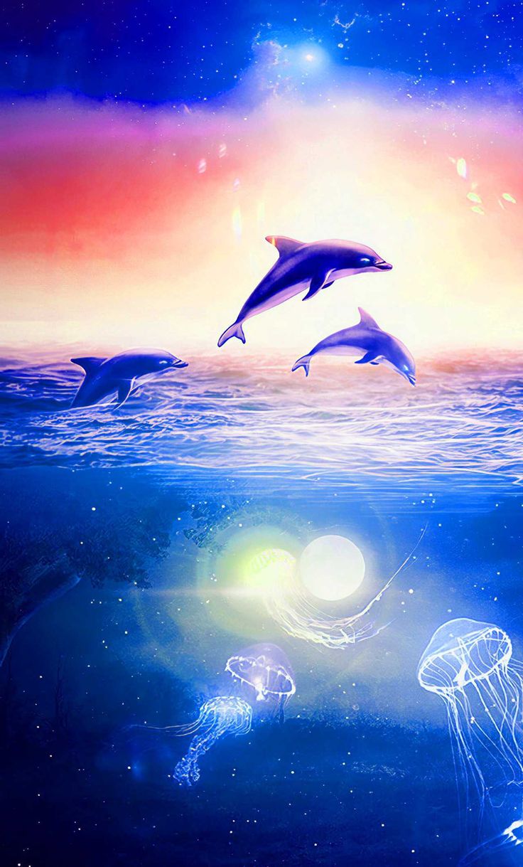 Cute Dolphin Wallpapers