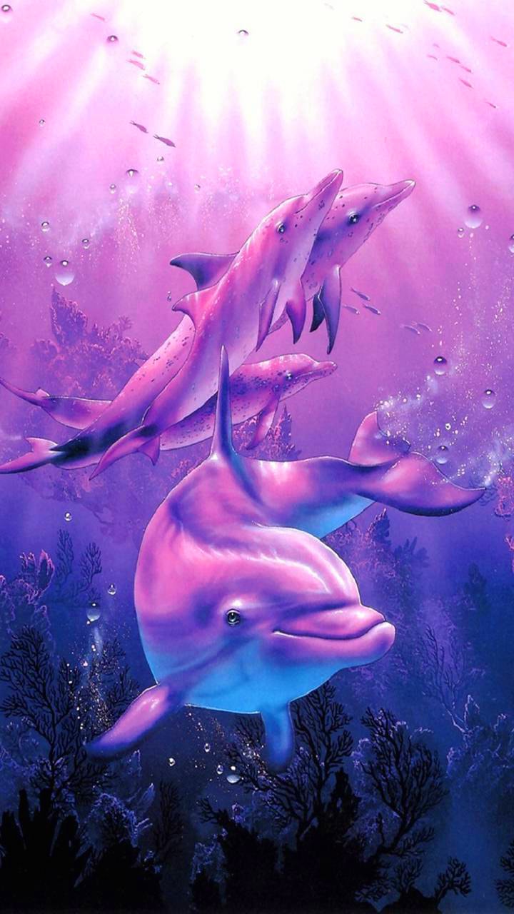 Cute Dolphin Wallpapers