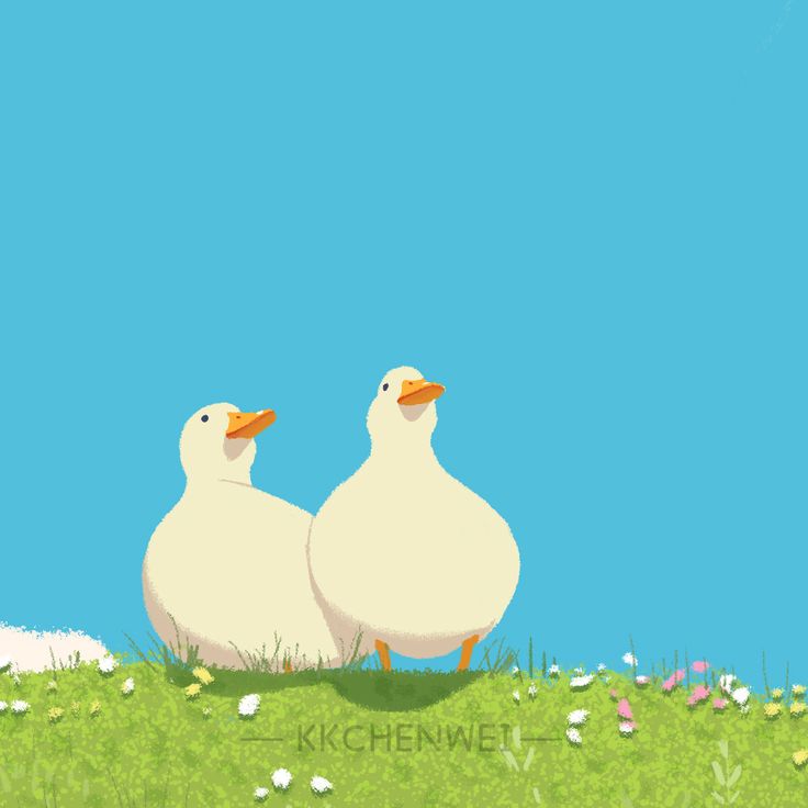 Cute Duck Drawing Wallpapers