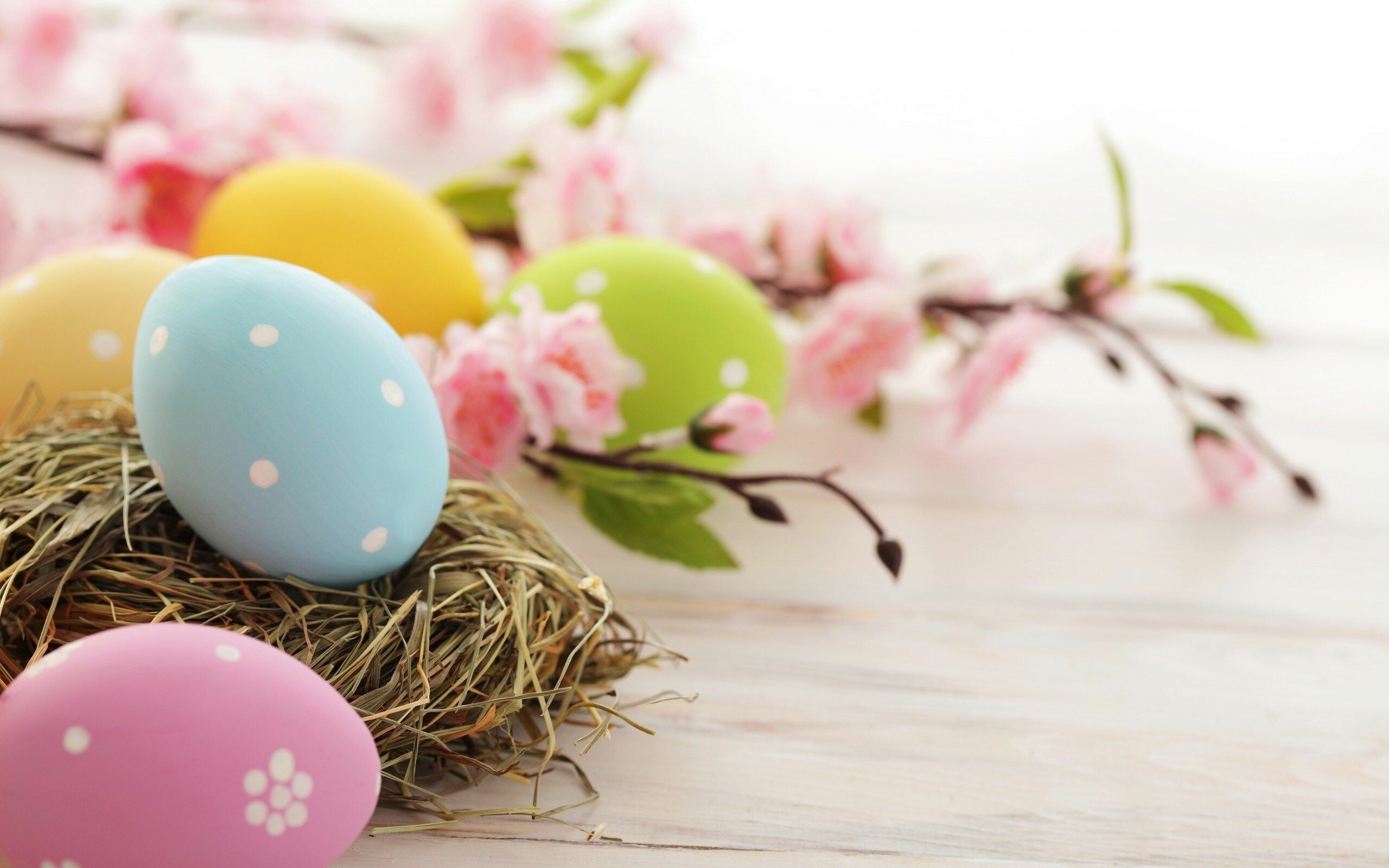 Cute Easter Wallpaper Wallpapers