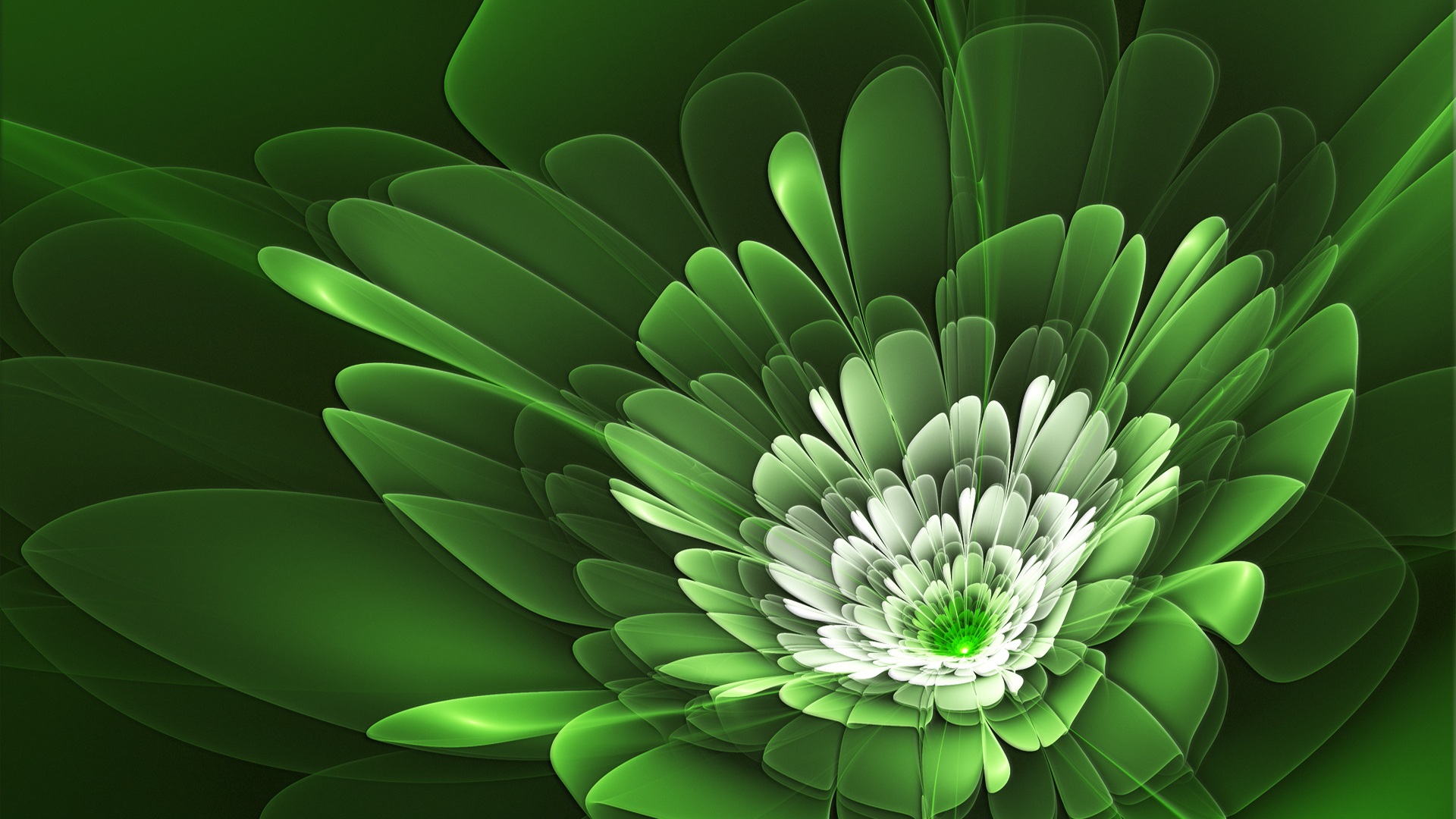 Cute Floral Green Wallpapers