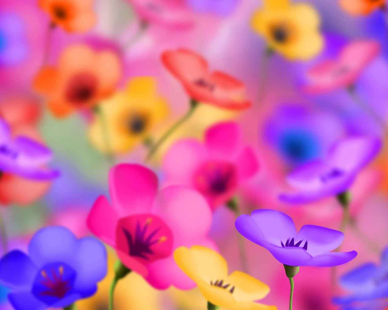 Cute Flower Wallpapers Wallpapers