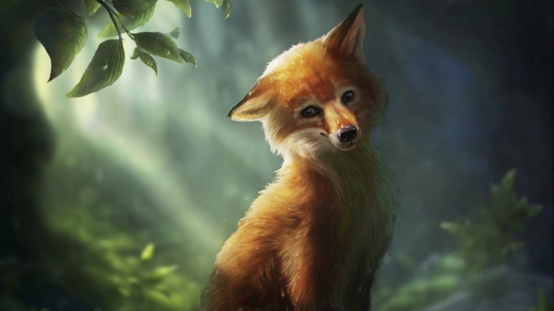 Cute Fox Wallpapers