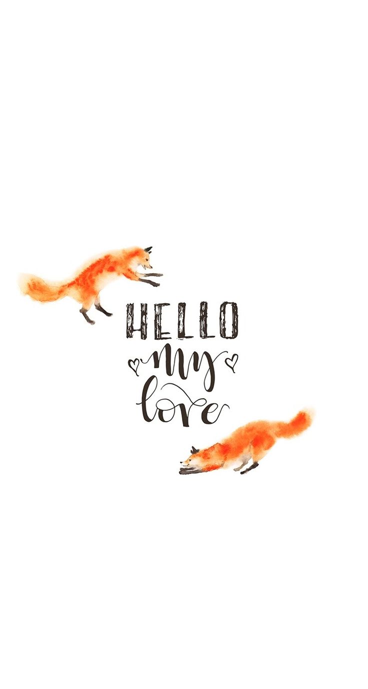 Cute Fox Phone Wallpapers Wallpapers