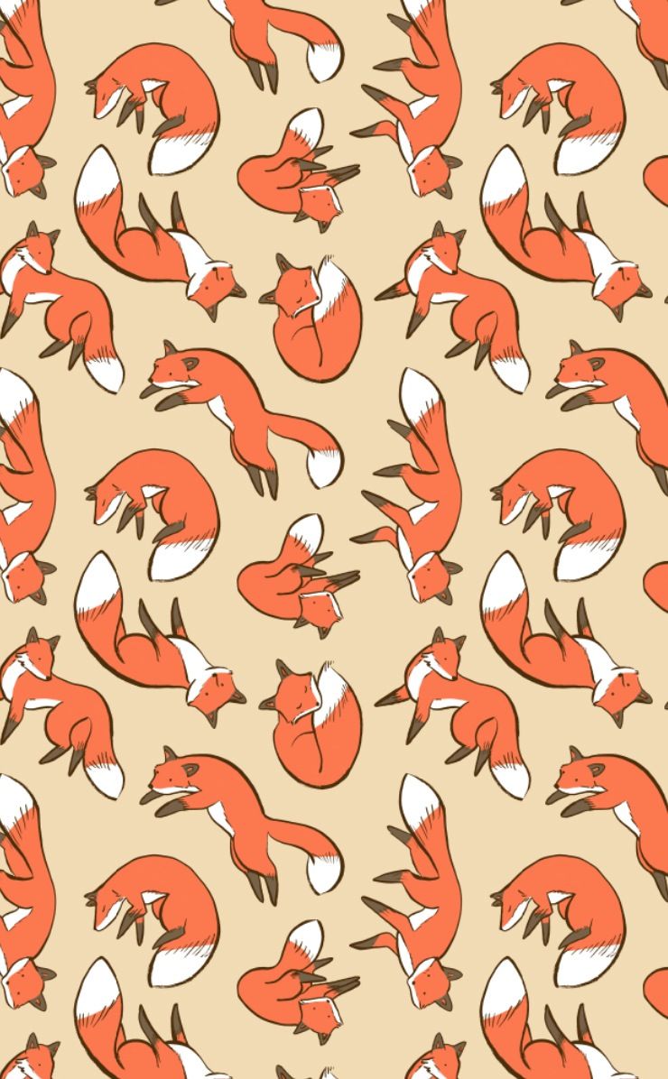 Cute Fox Wallpapers Wallpapers