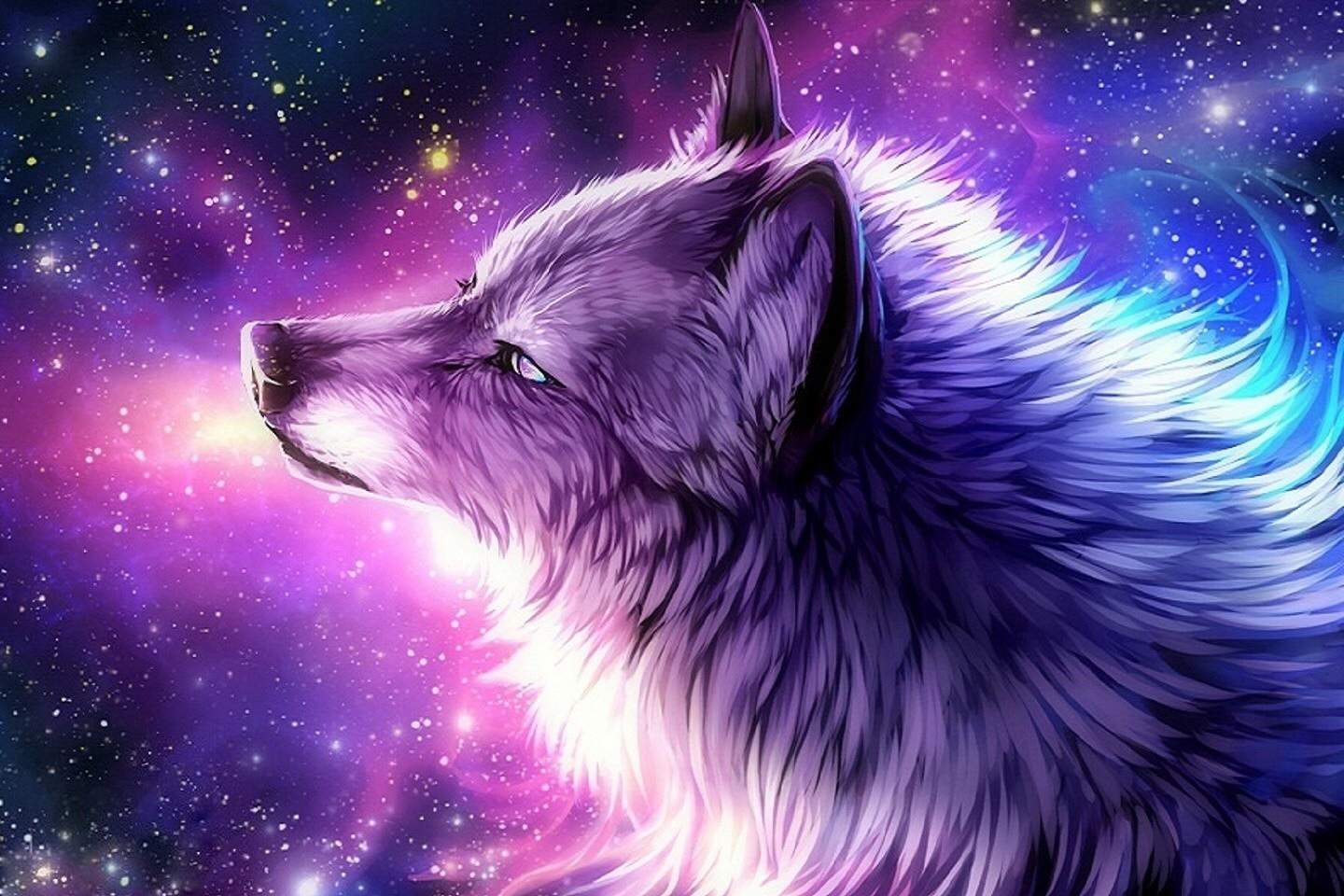Cute Galaxy Wolf Wallpapers