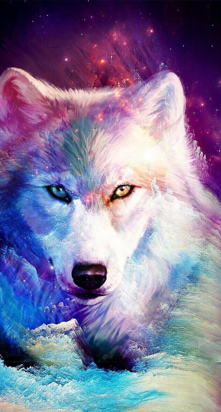 Cute Galaxy Wolf Wallpapers