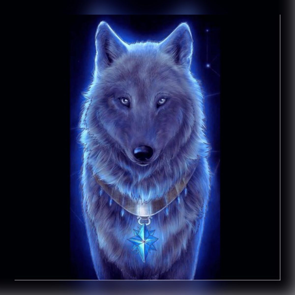 Cute Galaxy Wolf Wallpapers