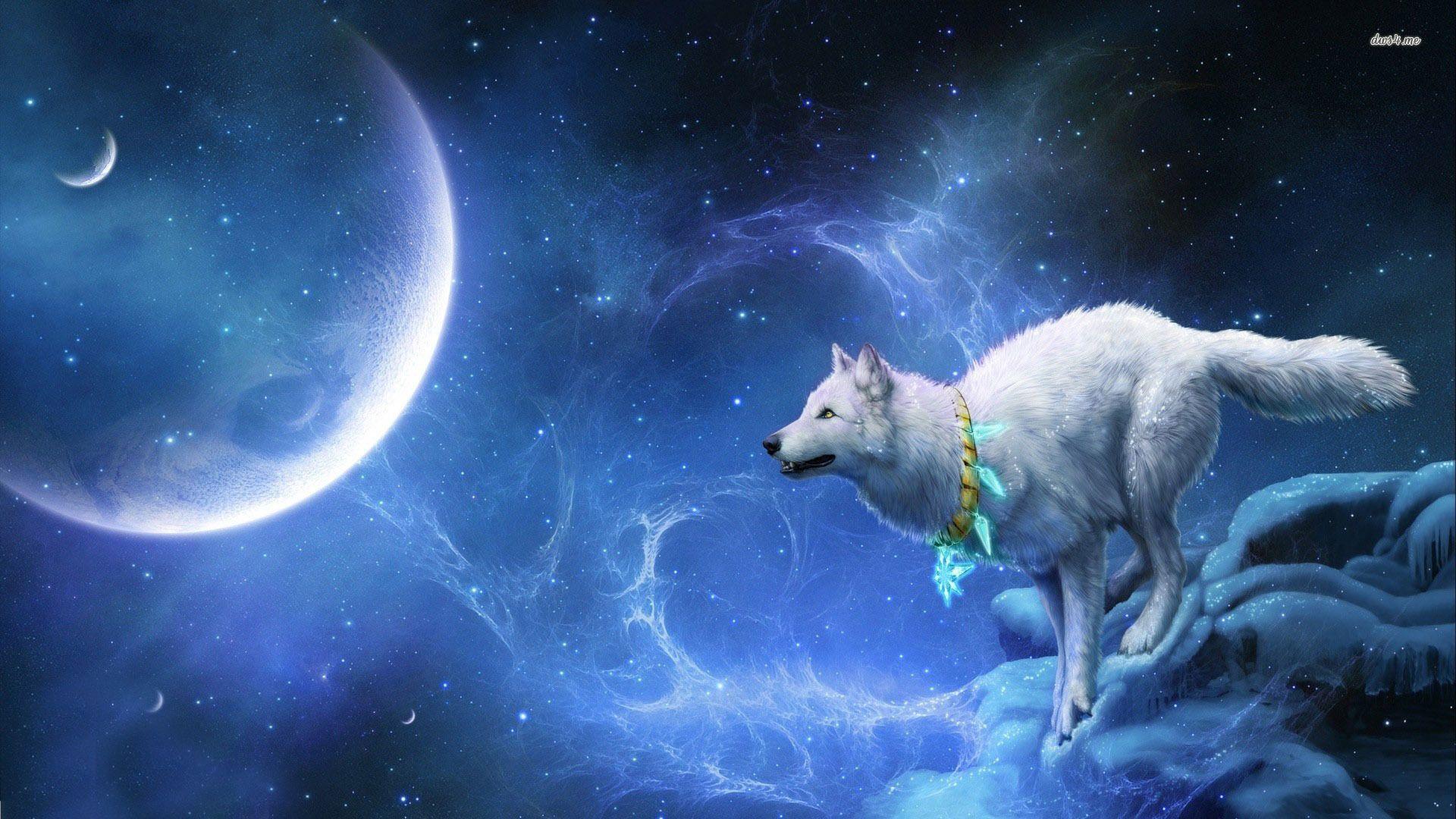 Cute Galaxy Wolf Wallpapers Wallpapers