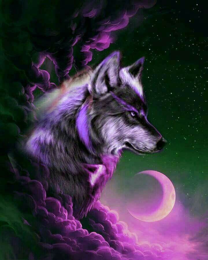 Cute Galaxy Wolf Wallpapers Wallpapers