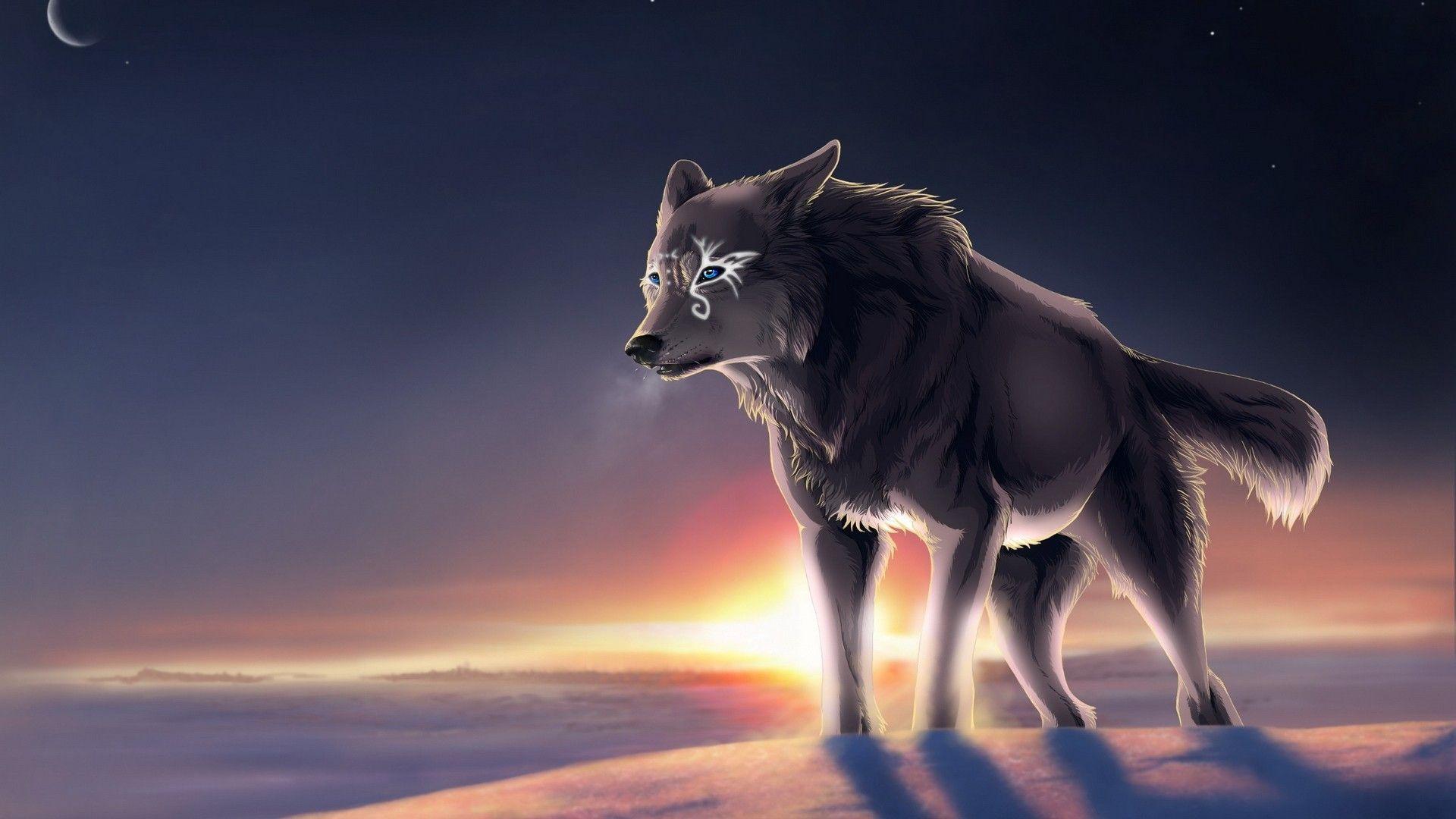 Cute Galaxy Wolf Wallpapers Wallpapers