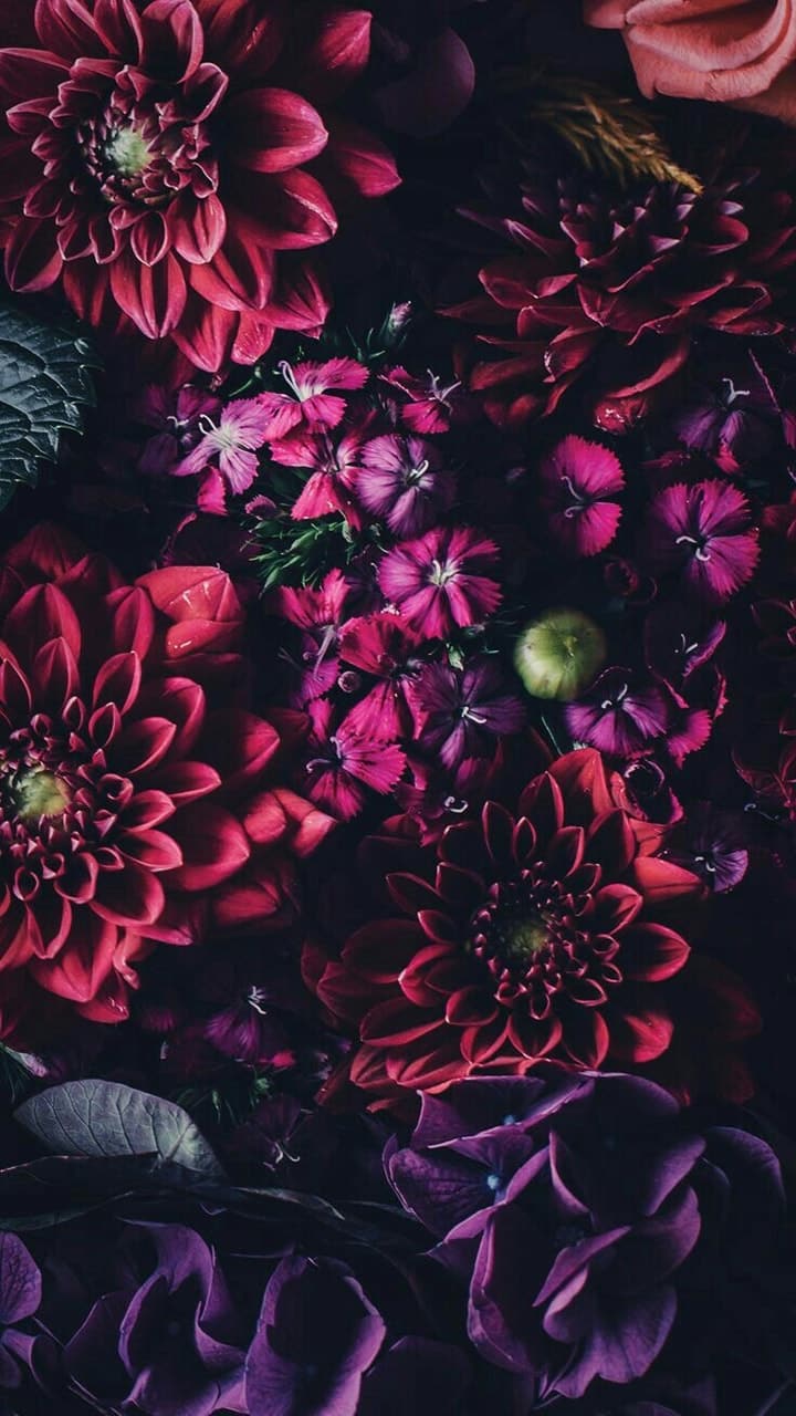 Cute Girly Flower Wallpapers