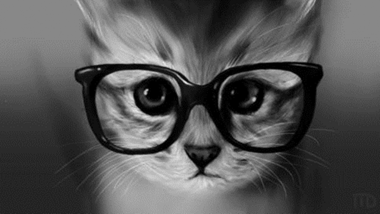 Cute Glasses Wallpapers