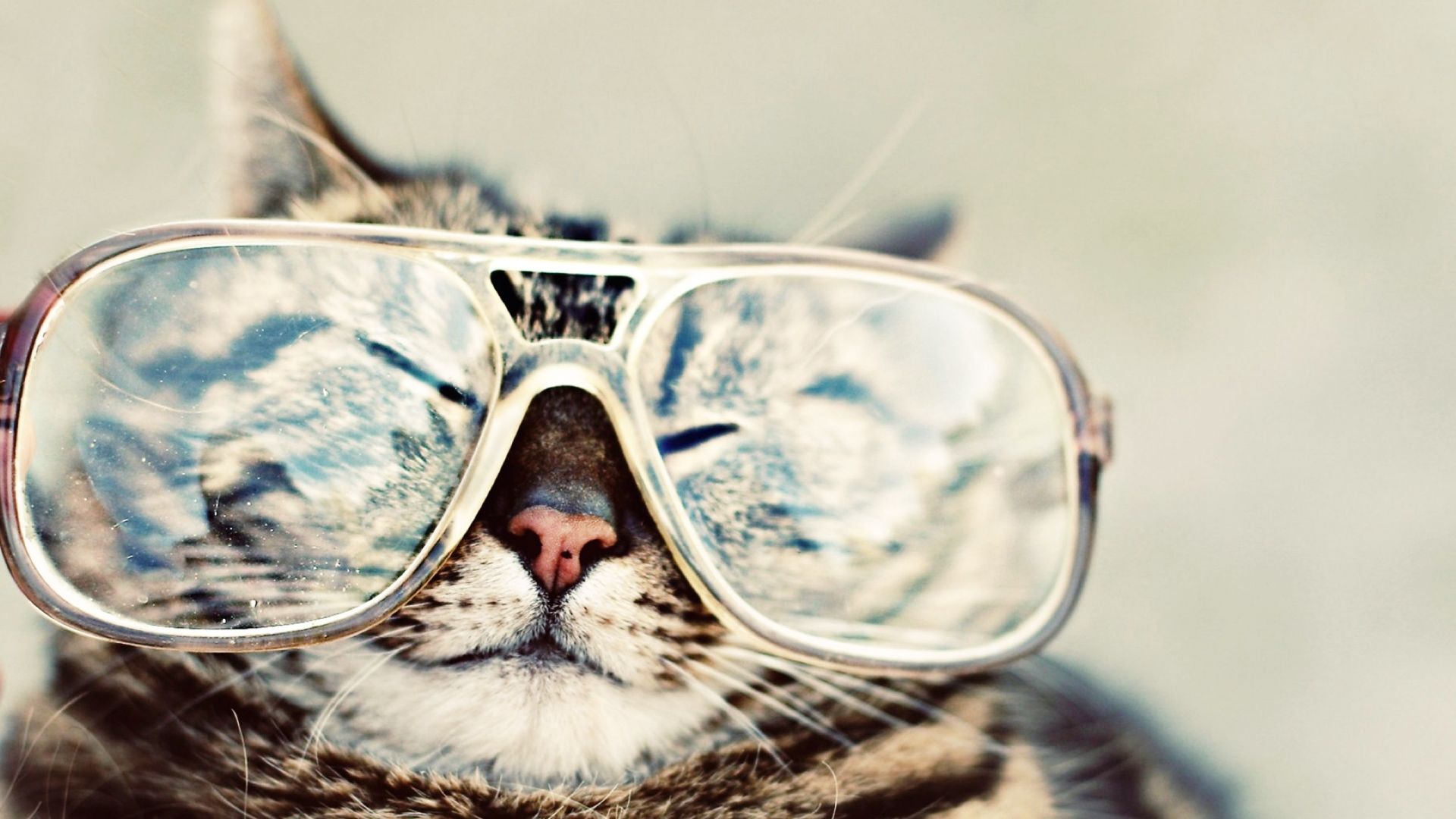 Cute Glasses Wallpapers