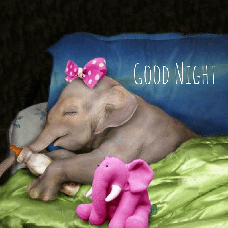 Cute Good Night Wallpapers