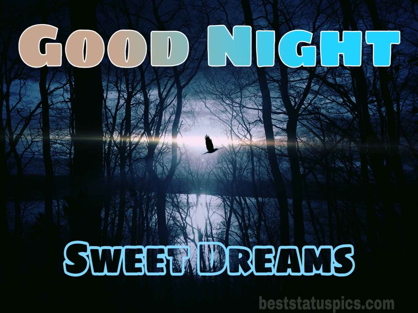 Cute Good Night Wallpapers