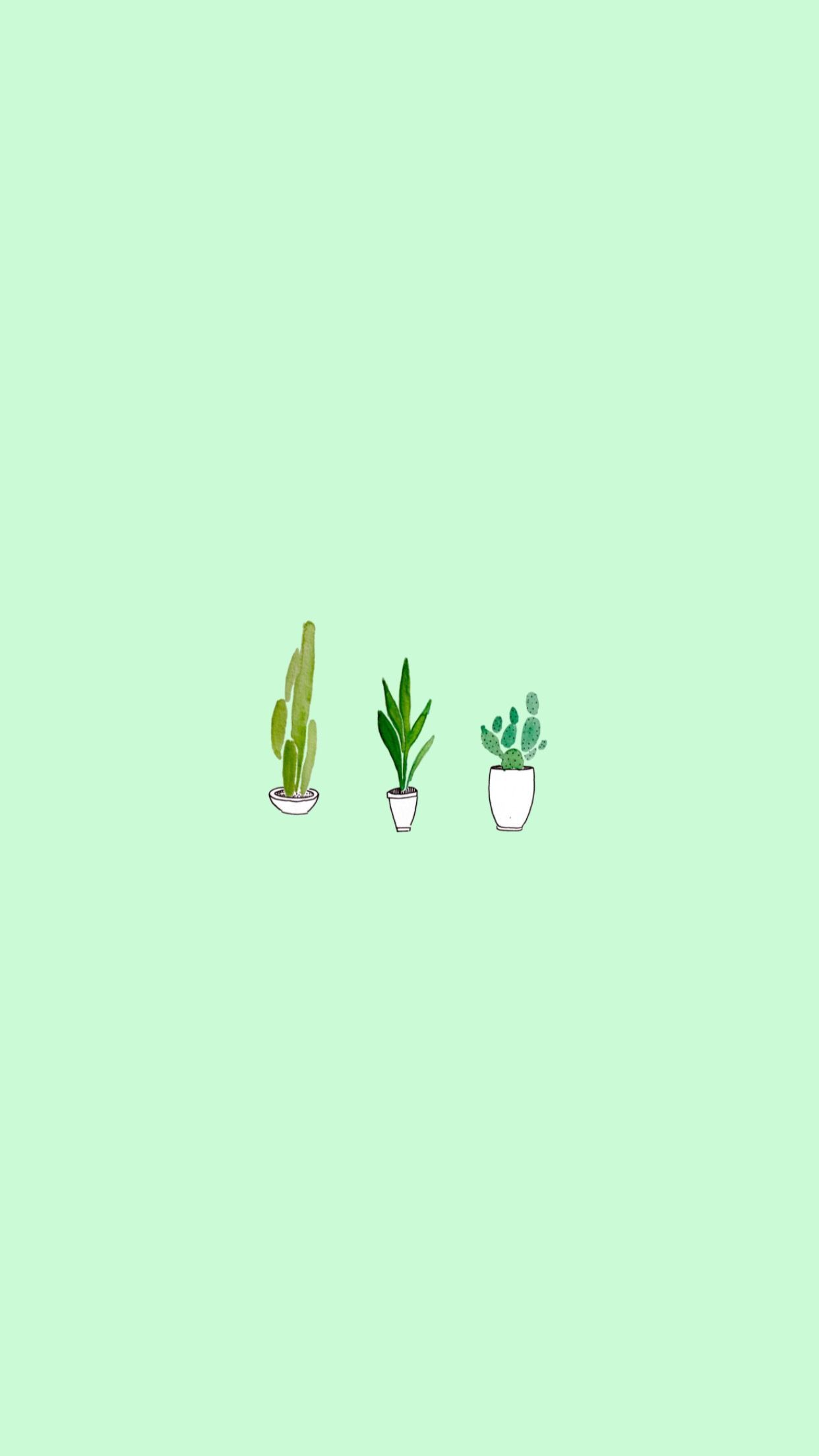 Cute Green Aesthetic Wallpapers Wallpapers