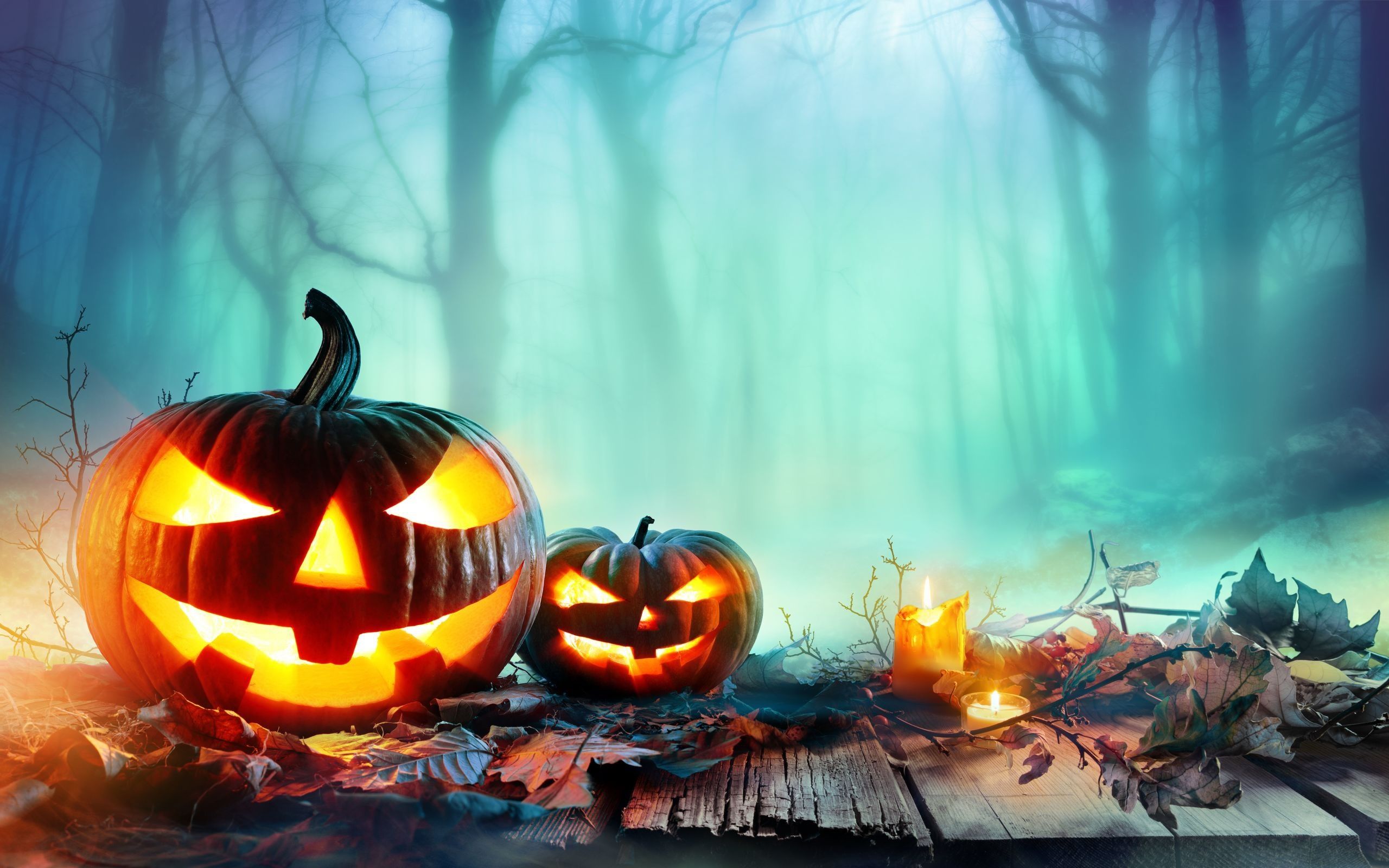 Cute Halloween Pumpkin Wallpapers