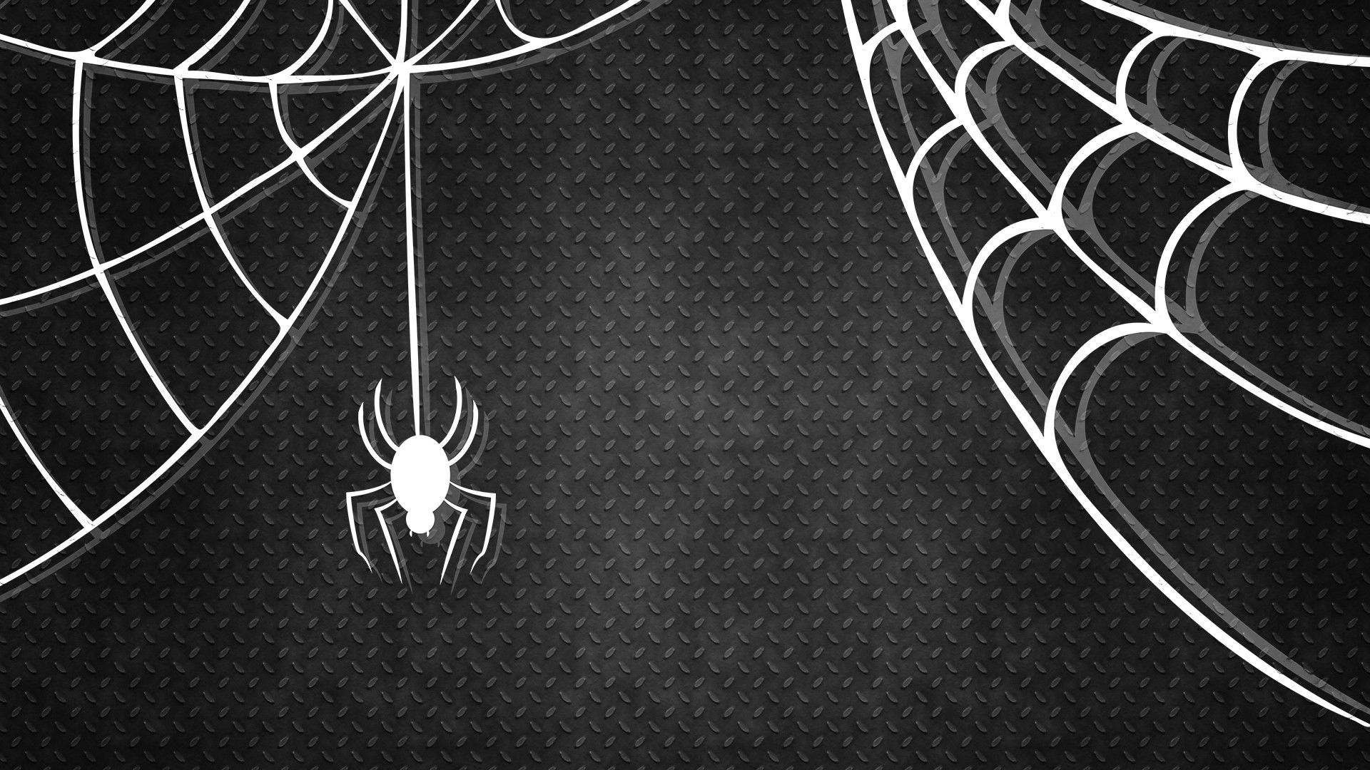 Cute Halloween Spider Wallpapers Wallpapers