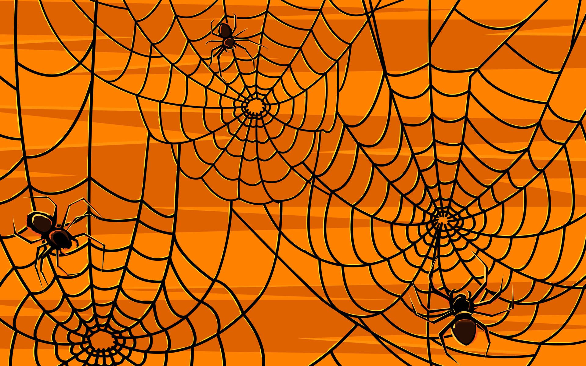 Cute Halloween Spider Wallpapers Wallpapers