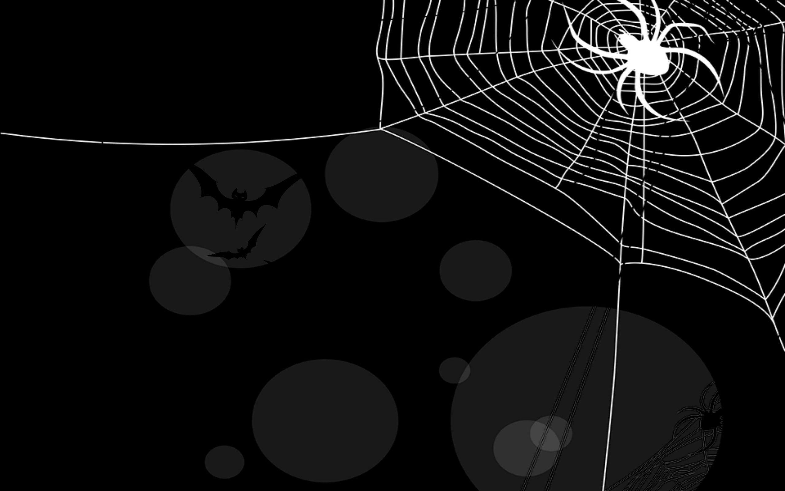 Cute Halloween Spider Wallpapers Wallpapers