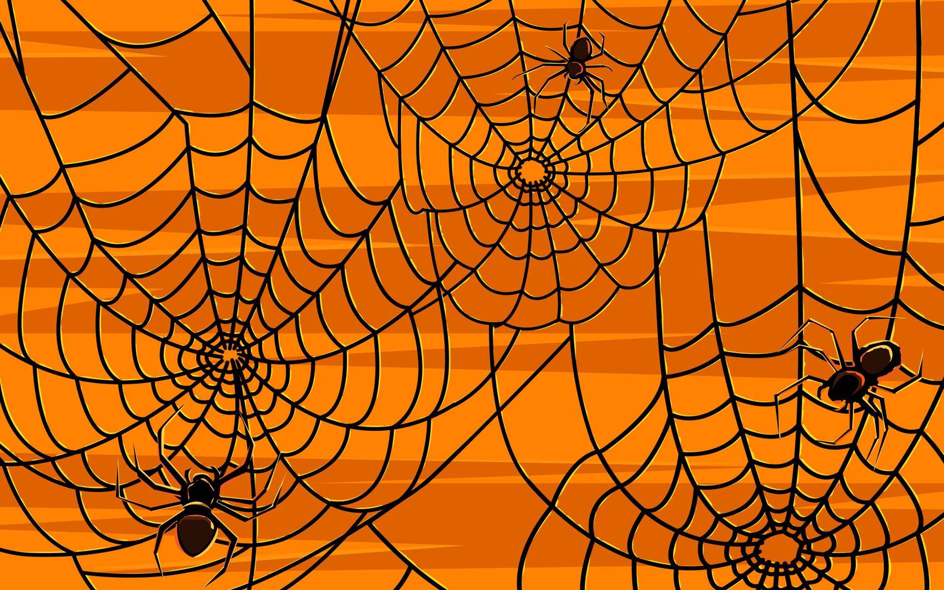 Cute Halloween Spider Wallpapers Wallpapers