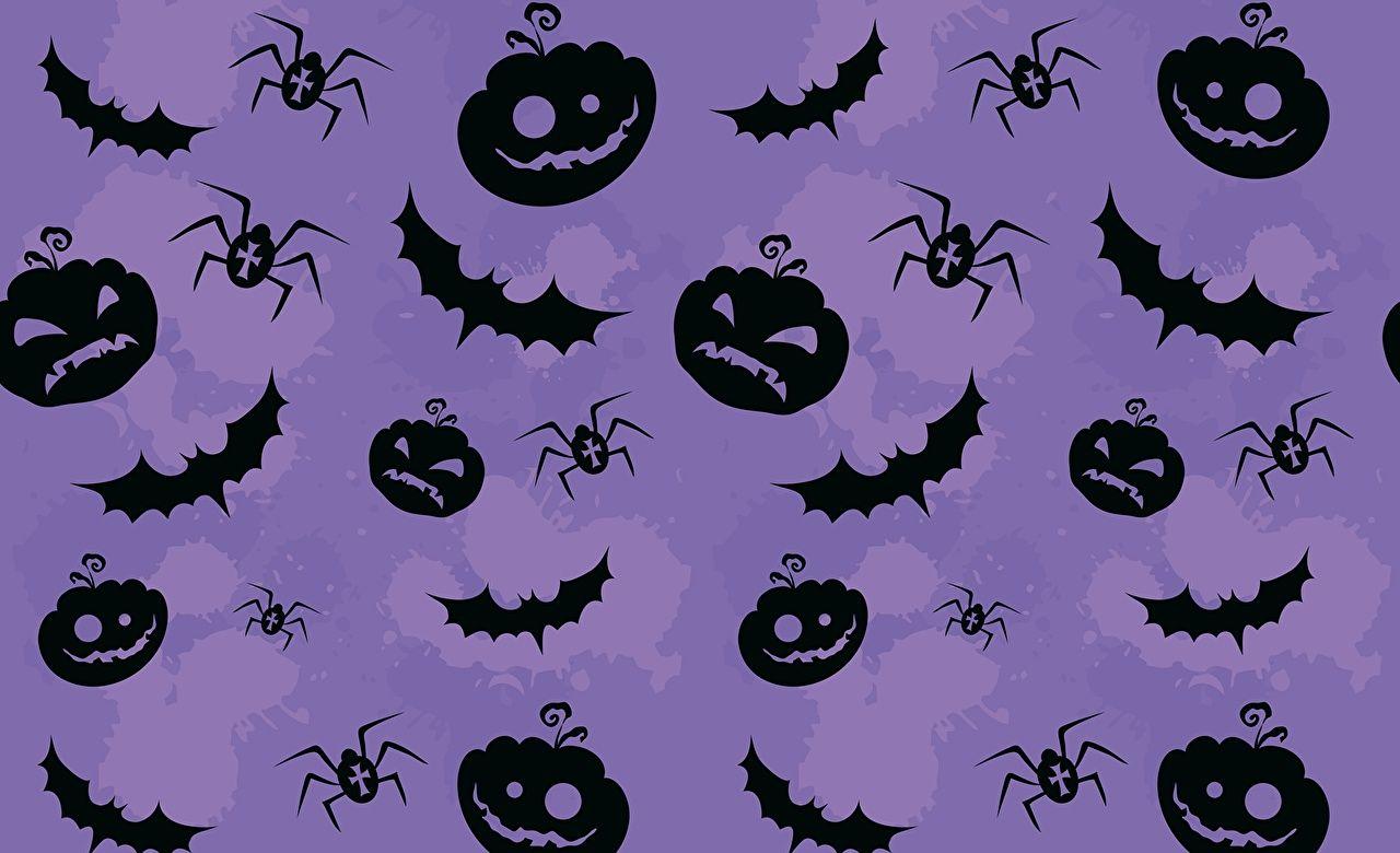 Cute Halloween Spider Wallpapers Wallpapers