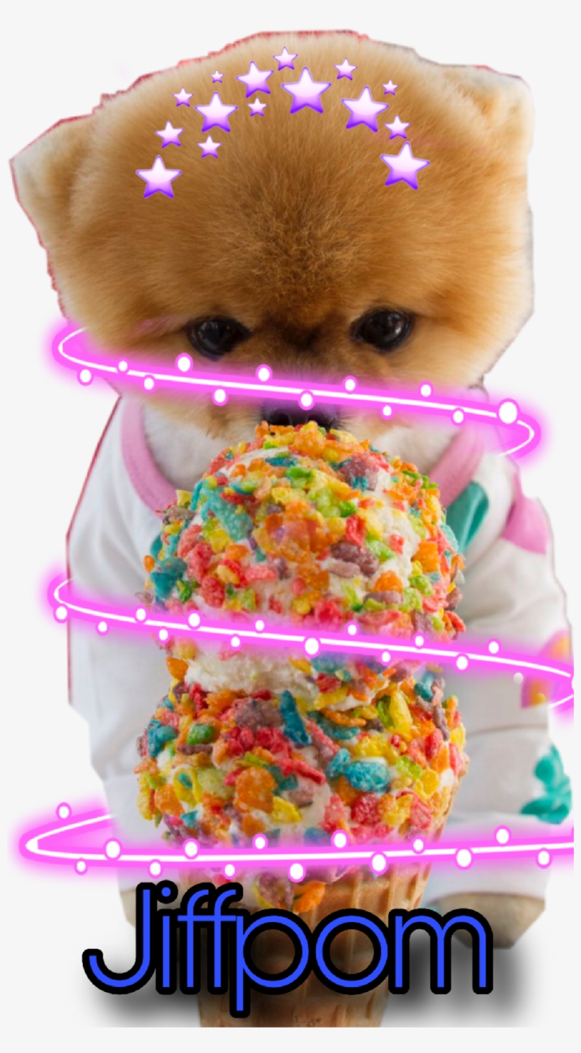 Cute Jiffpom Wallpapers