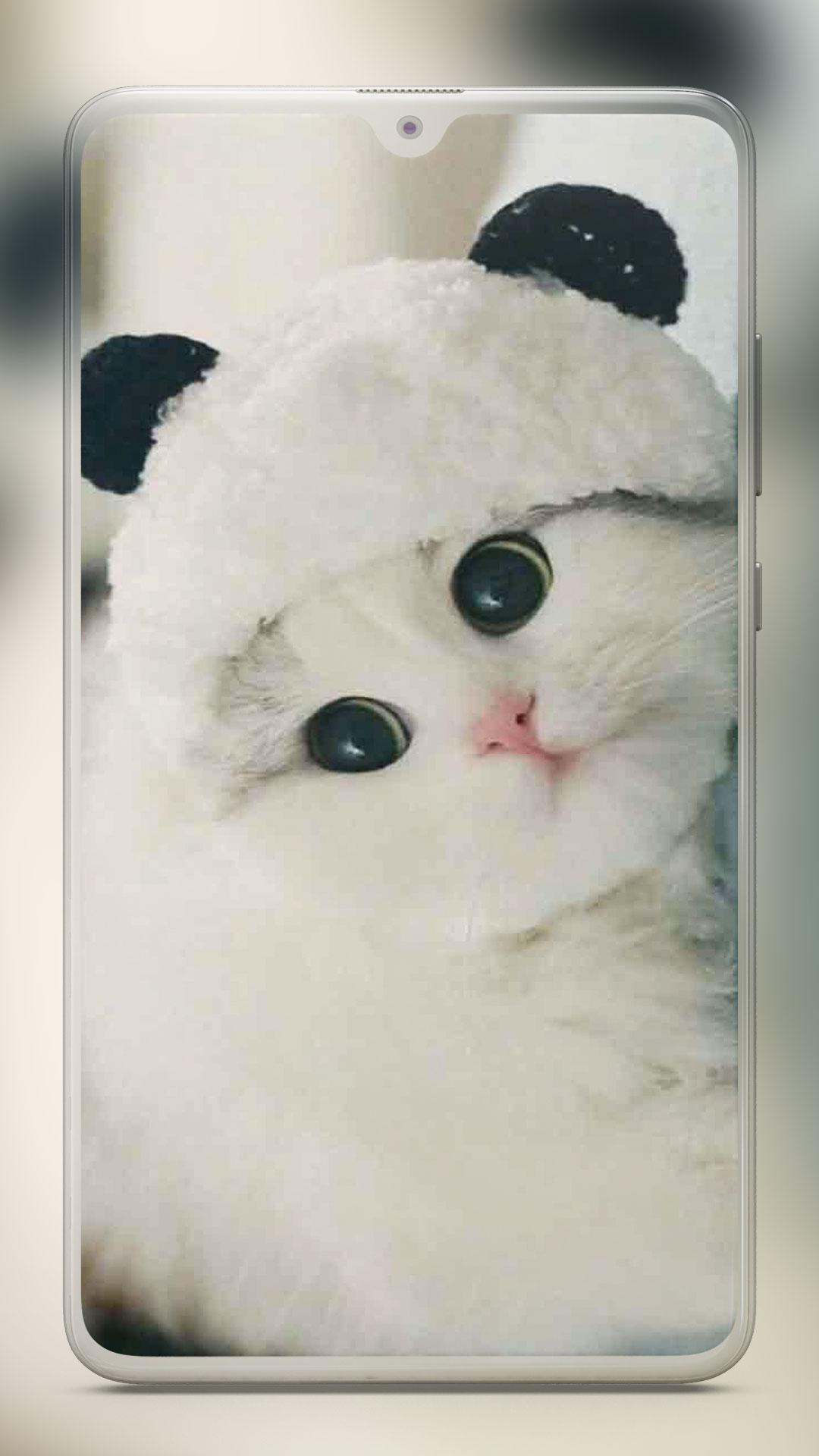 Cute Kittens Wallpapers For Mobile Wallpapers