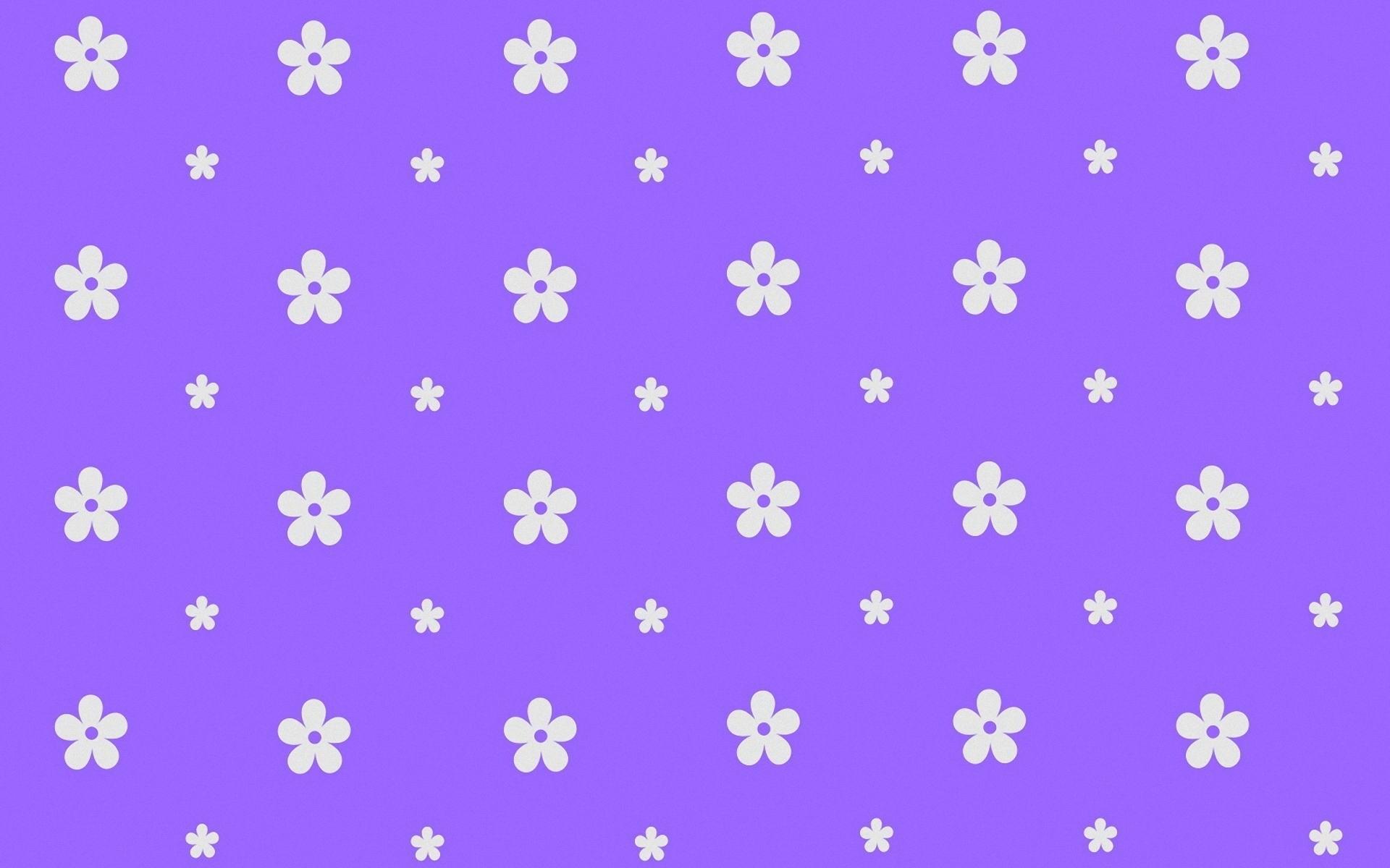 Cute Lavender Wallpapers Wallpapers