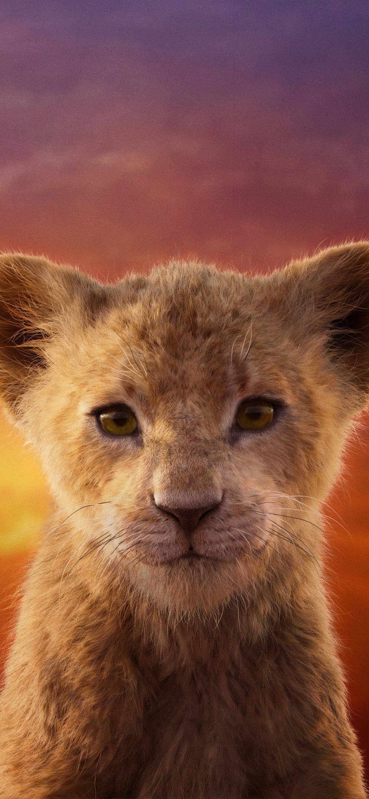 Cute Lion King Wallpapers