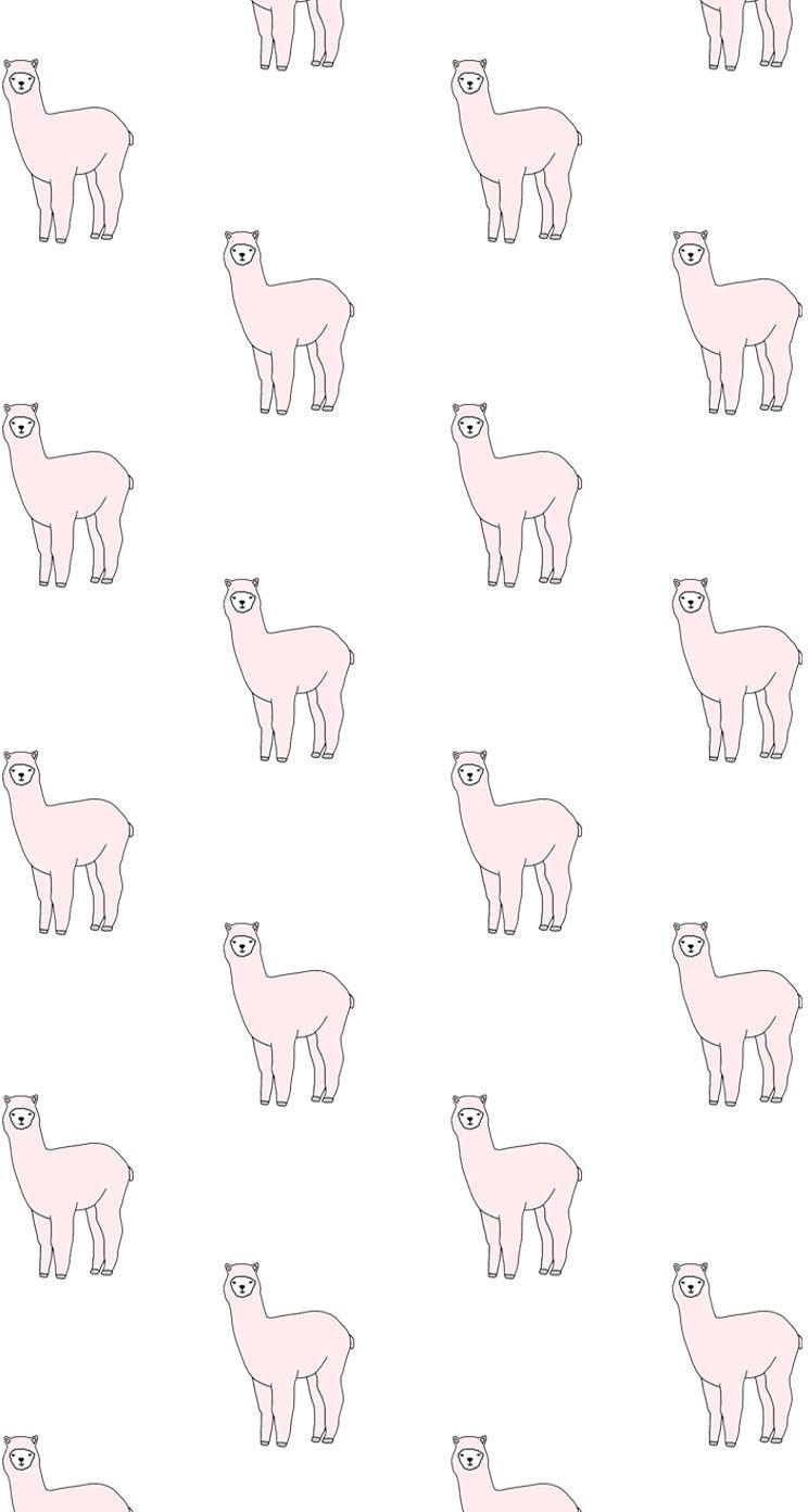 Cute Llama Wallpapers Wallpapers