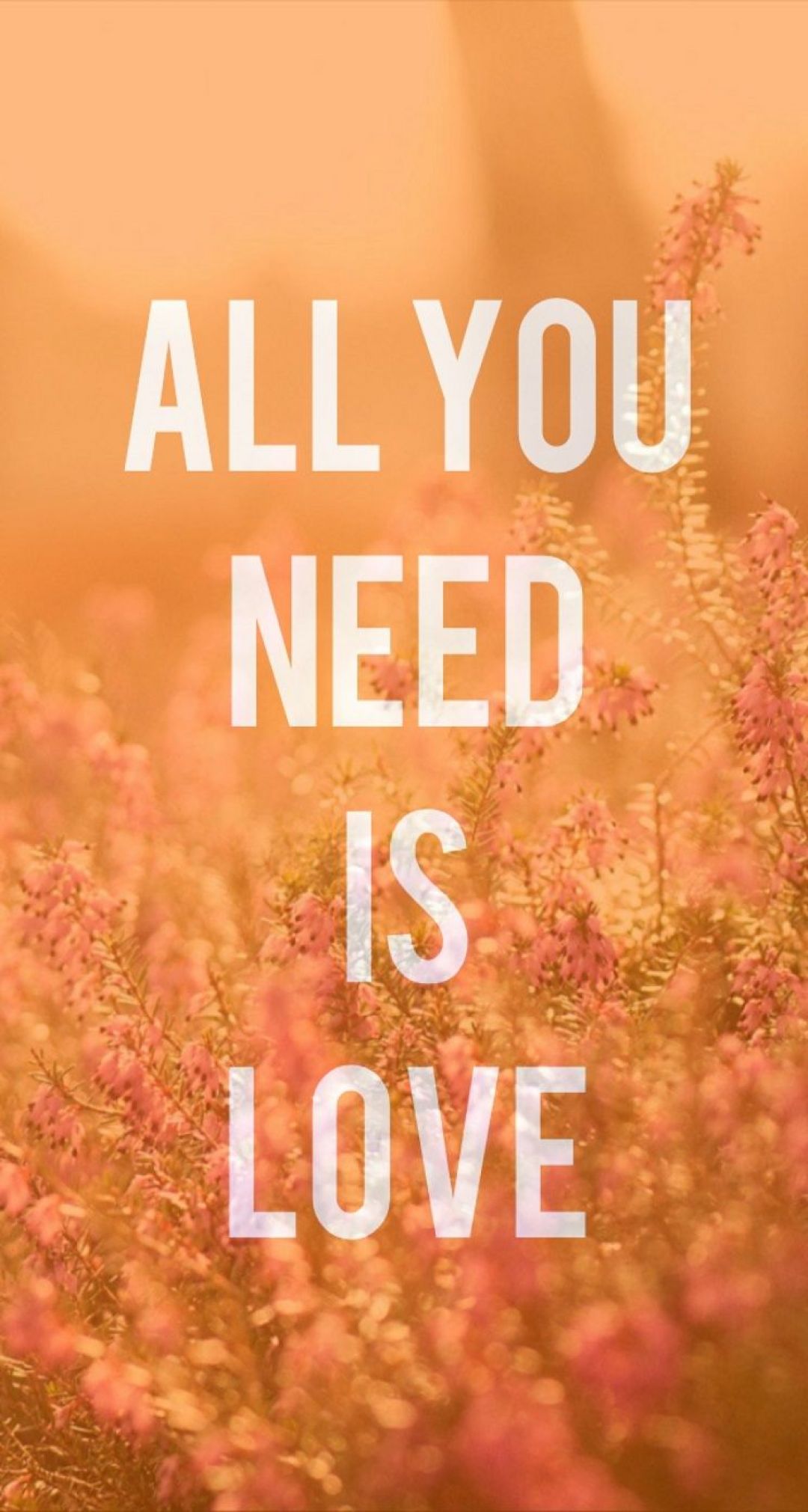 Cute Love Quote Iphone Wallpapers