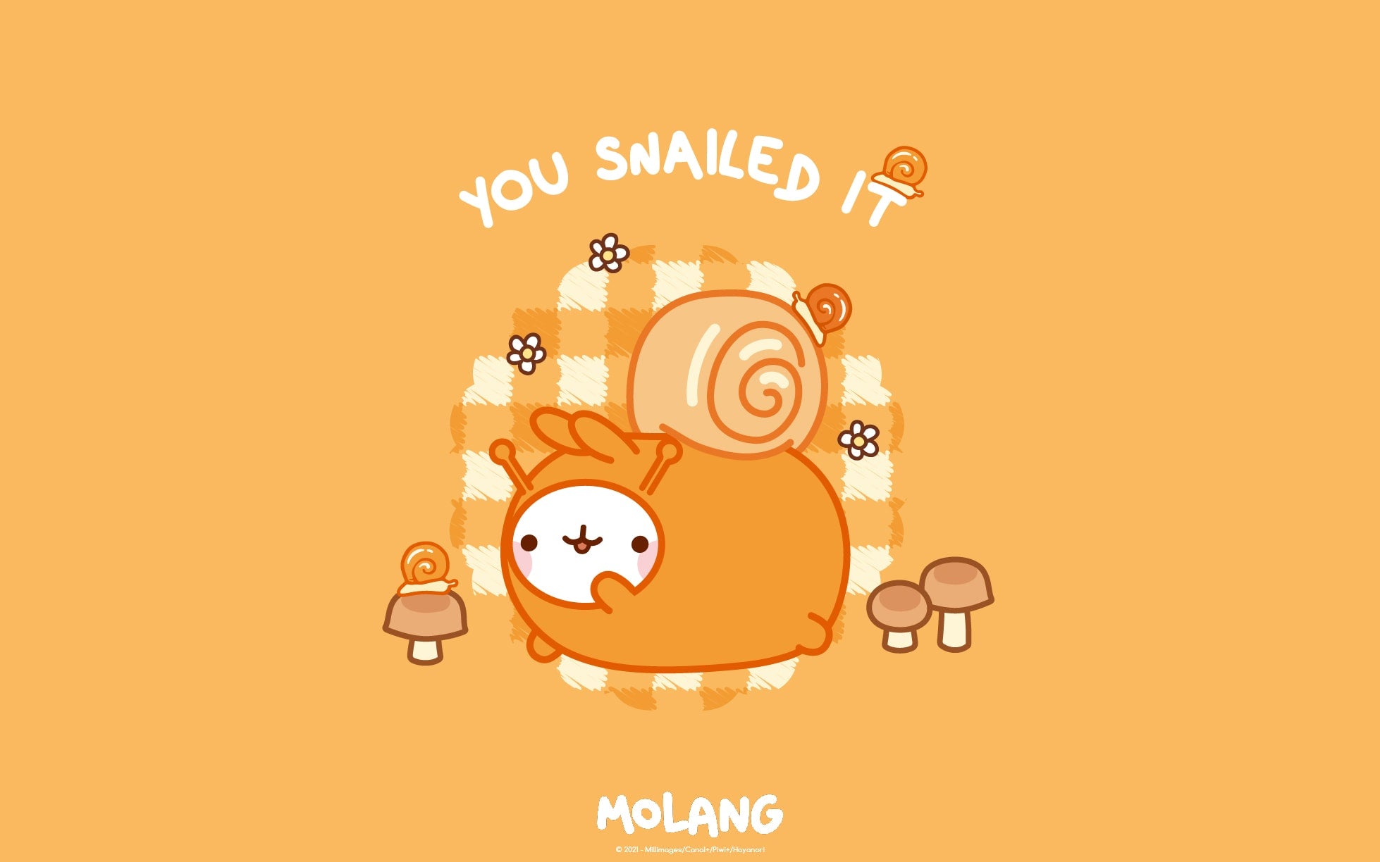 Cute Molang Wallpapers Wallpapers