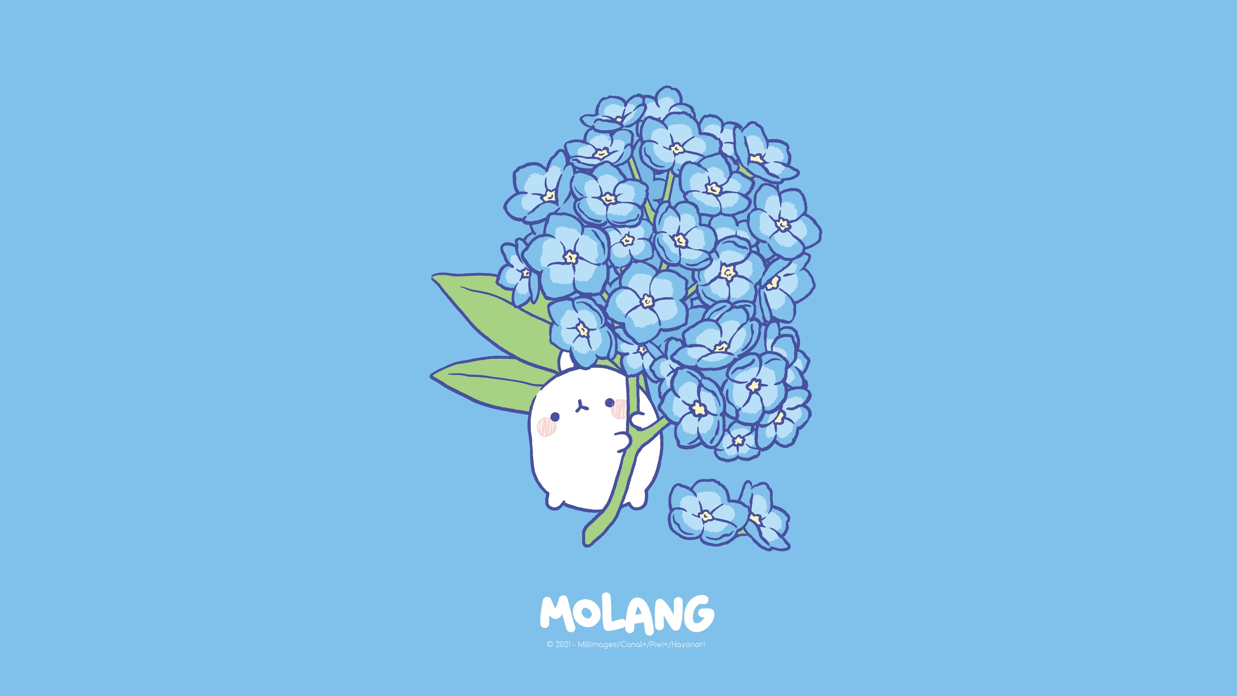 Cute Molang Wallpapers Wallpapers