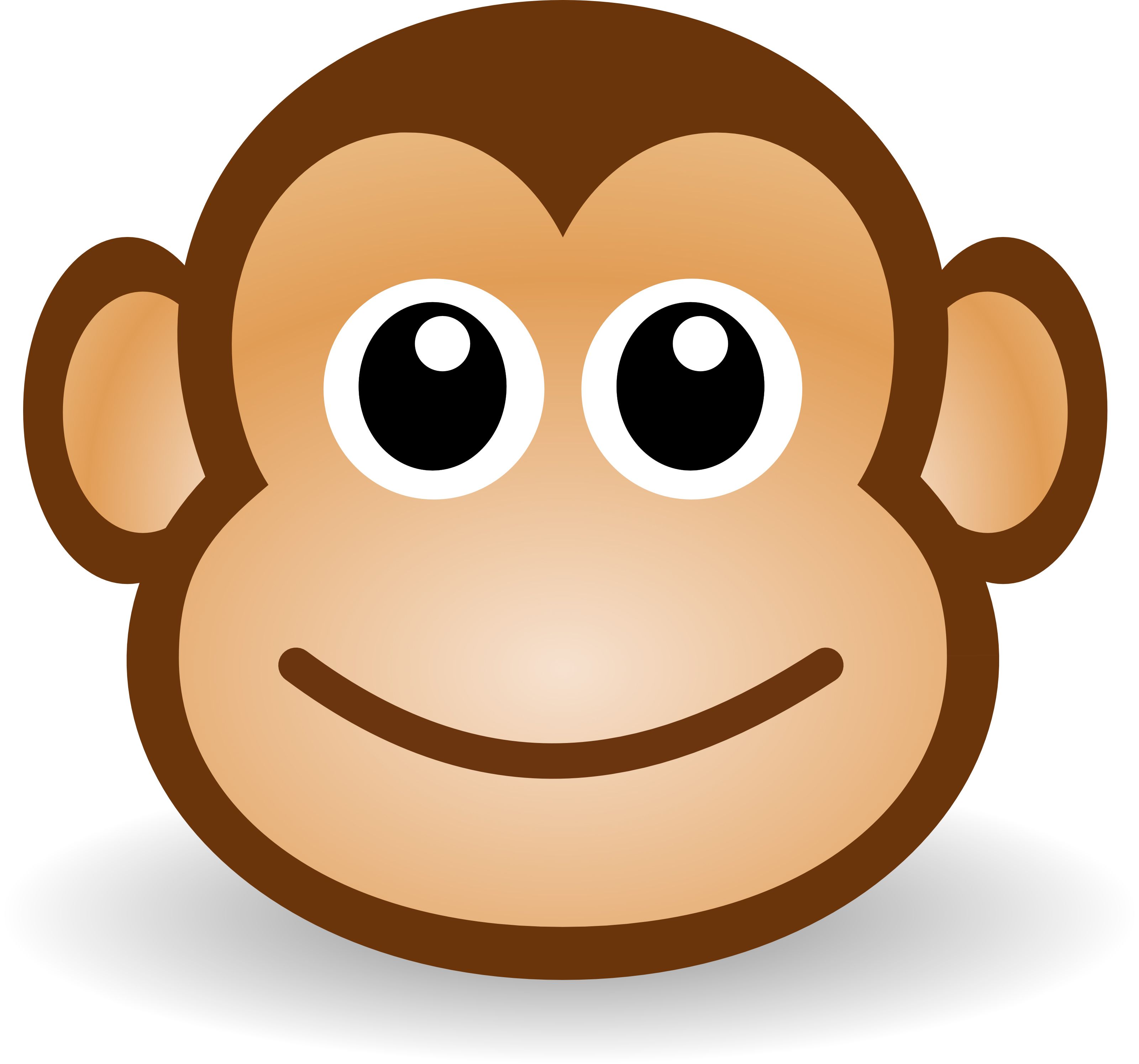 Cute Monkeys Wallpapers Wallpapers