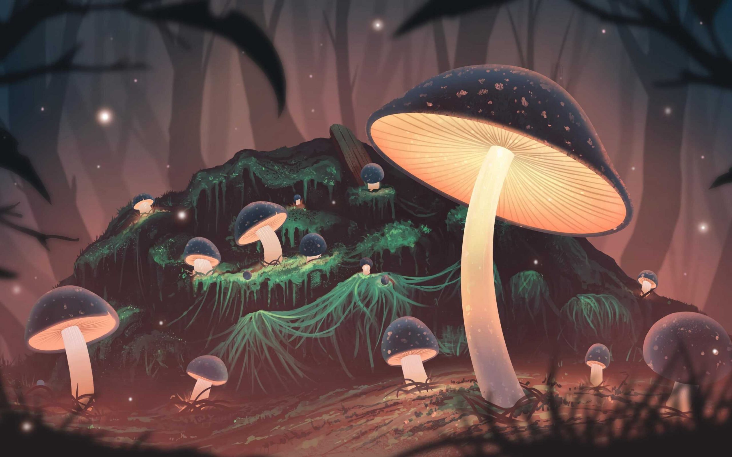 Cute Mushroom Wallpapers