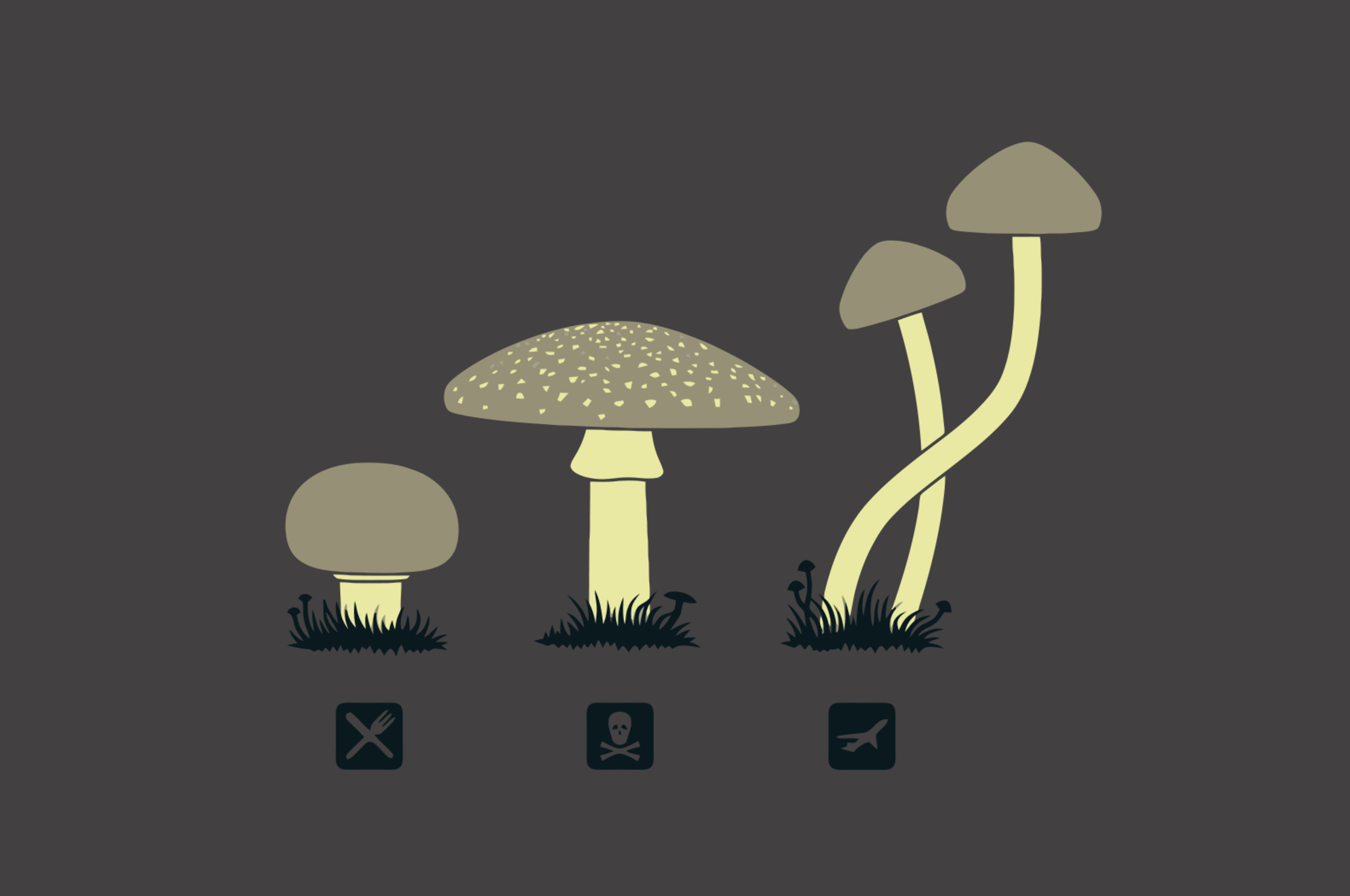 Cute Mushroom Wallpapers