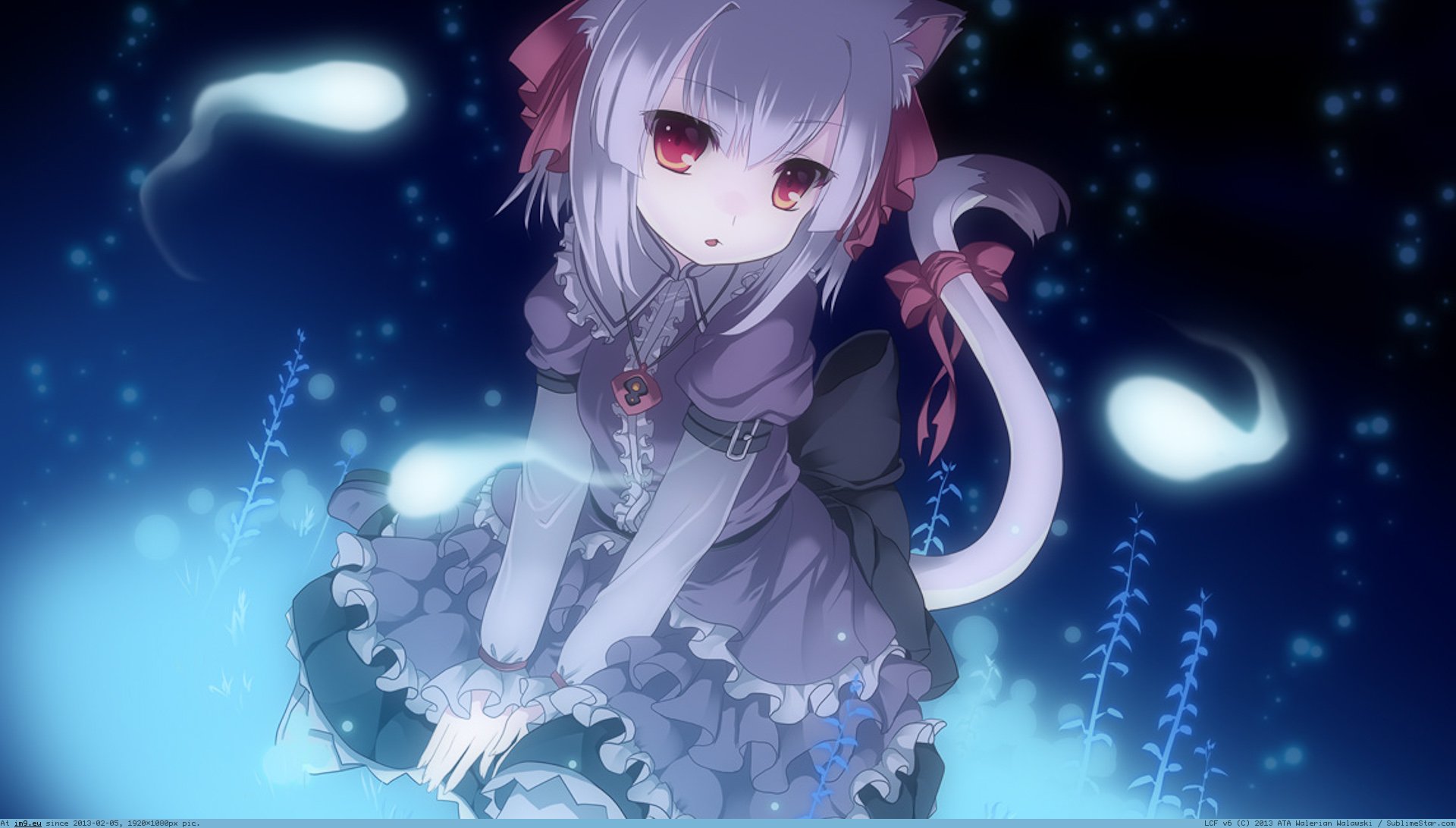 Cute Neko Girl Wallpapers