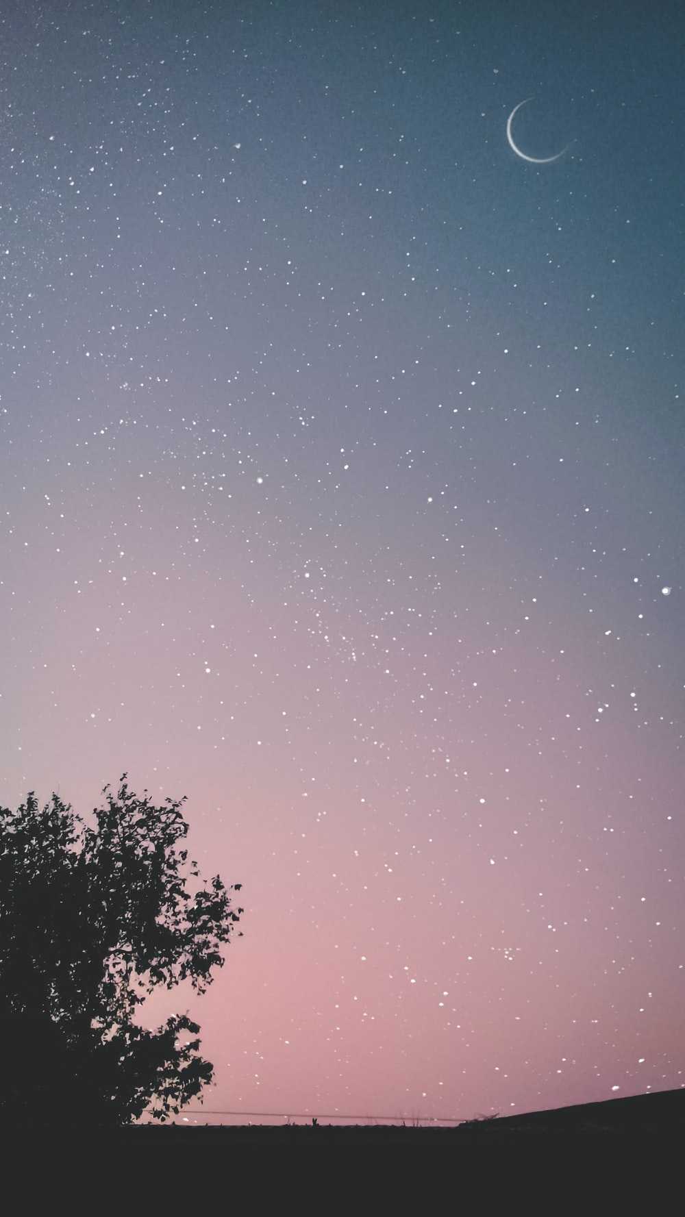 Cute Night Sky Wallpapers