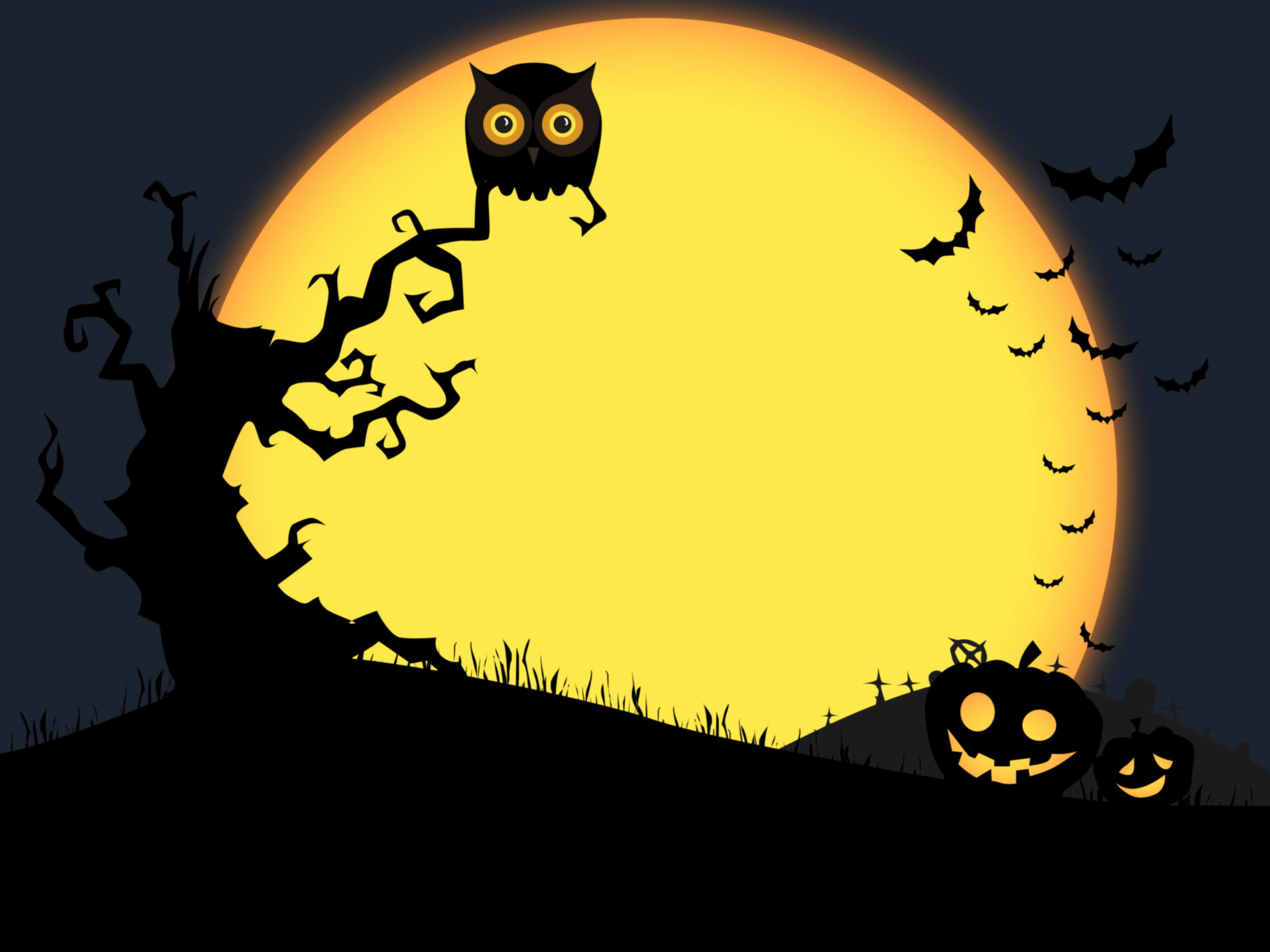 Cute Owl Halloween Wallpapers